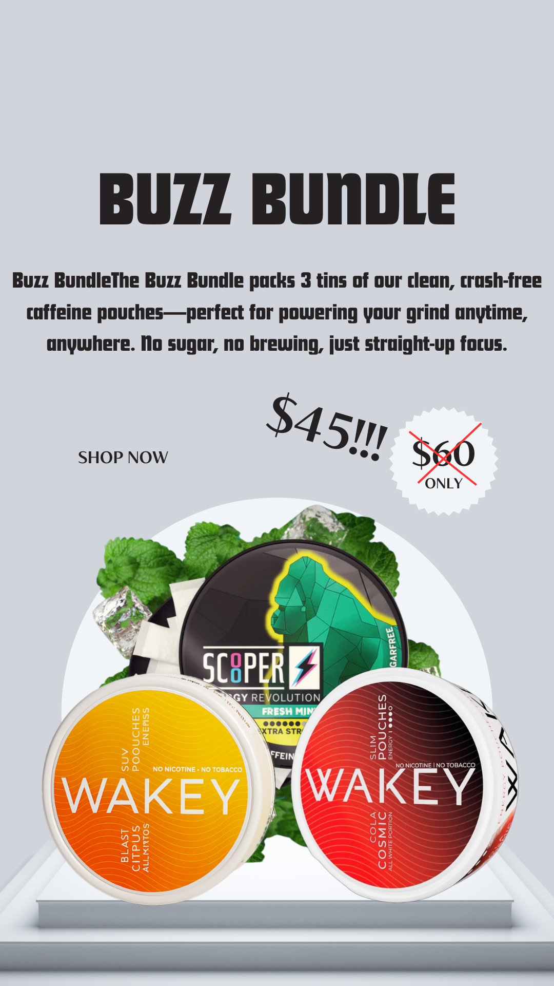 Buzz Bundle