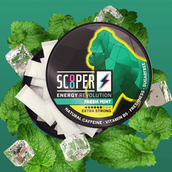 Scooper Energy Fresh Mint